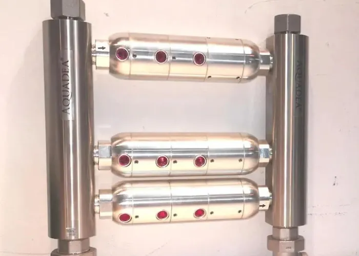 Forest Dom wakacyjny