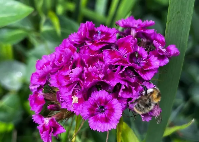 Forest Dom wakacyjny Rudigershagen
