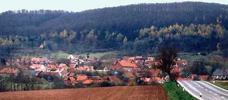 Forest Rudigershagen