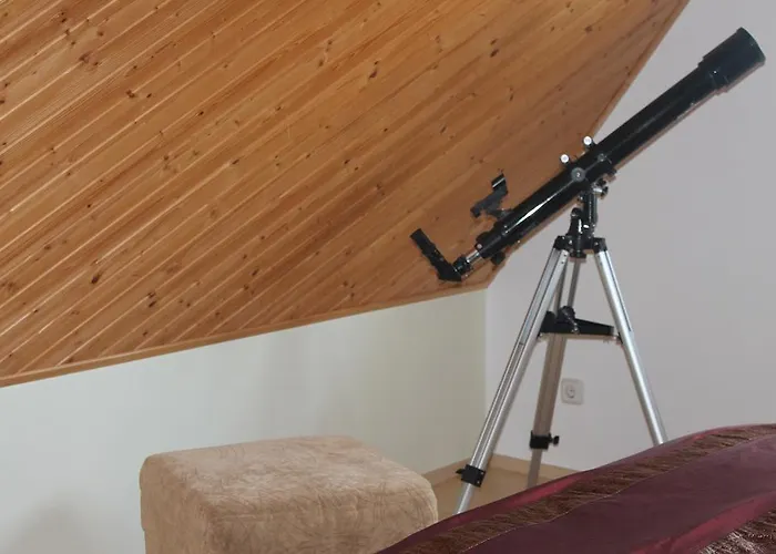 Dom wakacyjny Forest