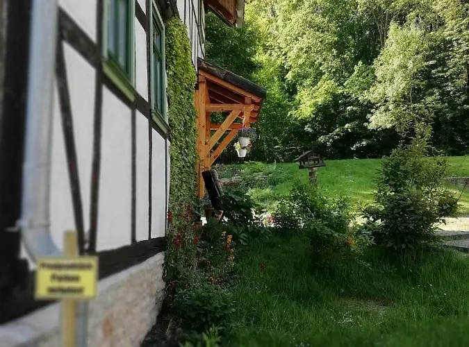 Forest * Rudigershagen