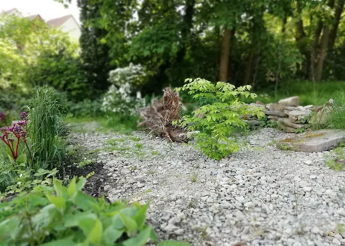 Dom wakacyjny Forest *