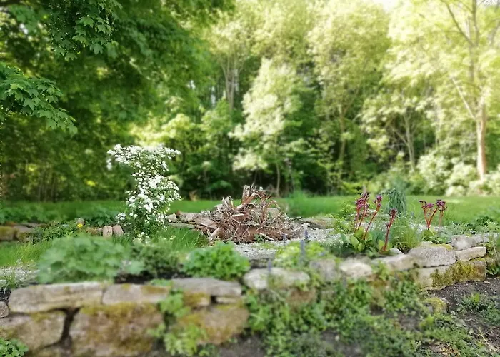 Forest Dom wakacyjny *